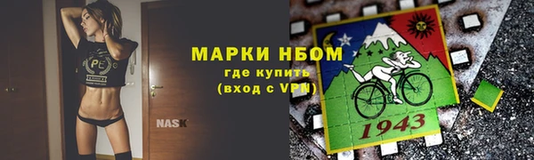 дмт Новозыбков