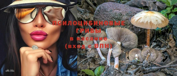 гашиш Новодвинск