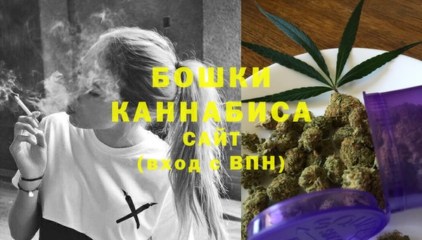 молекула духа Новокубанск
