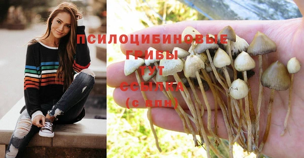 дмт Новозыбков