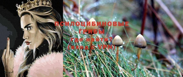 молекула духа Новокубанск