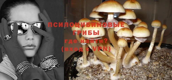 молекула духа Новокубанск