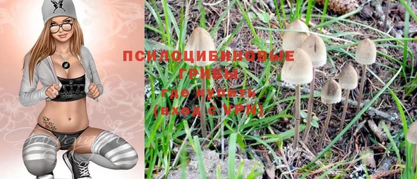 гидропоника Болотное